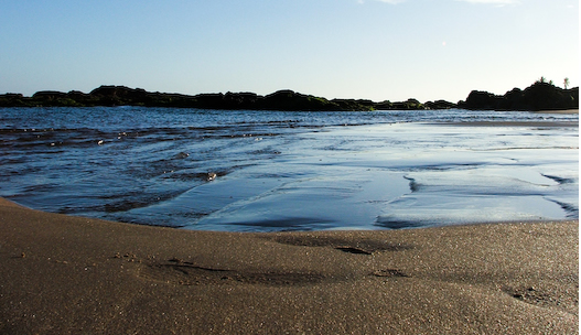 Playas de Salvador: Pituba