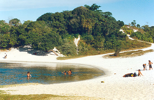 Qué ver en Salvador:  ecoturismo